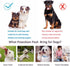 Puppy Toys Set 20 Pack - Interactive Chew Toys for Teething Small Breeds, Tough Rope & Soft Rubber Bundle