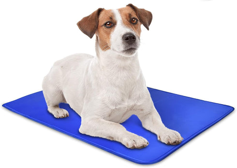Arf Pets Dog Self Cooling Mat Pad for Kennels, Crates and Beds, Non-Toxic, Durable Solid Cooling Gel Material, Small