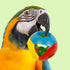 Parrot Ball Toy with Bell – Interactive Puzzle Bird Bell Toy, Cage Hanging Accessories for Medium to Large Birds, Set