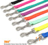 5/6 FT Waterproof Dog Leash, Durable Odor-Proof with Strong Metal Hooks for Small Medium Large Dogs (Blue, 6FT - 1 inch