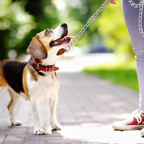 Heavy Duty Dog Leash 6ft, Metal Pet Lead with Stainless Steel Links for Medium Large Dogs (Black)
