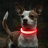 Light Up Dog Collars - Reflective LED Dog Collar, Rechargeable Cat Collar, Glowing Lights for Small Dogs & Cats