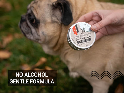 3-in-1 Paw Ointment Holistic Natural Derived Herbal for Dogs, Cats, Horses: Conditioning & Moisturizing for Paws - 1 oz