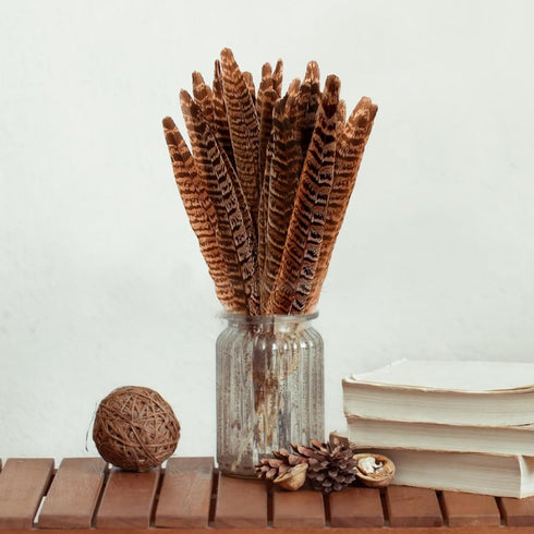 Generic 24 Natural Pheasant Feather Cat Toys, Wooden Handle Interactive Pet Teasers, Fun Exercise and Play Tools
