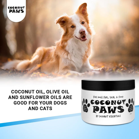 Coconut Paws Coconut Oil for Dogs Skin and Coat, Itching Relief, Hot Spot Treatment, 8oz - COCONUT ESSENTIALS