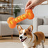 Fumzen Dog Toy TPR Teeth Grinding Bone Anti Bite Interactive Training Dog Toy Bite Dog Bone Dog Soothing Tool (Green)