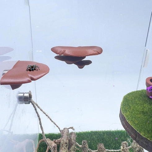 Jumping Spider Mushroom Shelf, Magnetically Concealed Jumping Spider Habitat,Serves As Enclosure Decorate Accessories