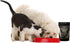 Nursing Supplement and Vitamins for Dogs and Cats, Lactation and Recovery Supplement for Breeders, 200g