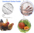 Vehomy 2PCS Chicken Treat Ball Chicken Vegetable Feeder Veggie Hanging Ball Toy for Hens