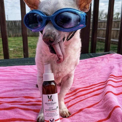 Warren London Dog Sunscreen Spray with Aloe Vera - Puppy Sunblock Skin Soother Made in USA, 4oz