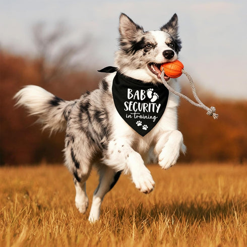 Baby Security in Training Dog Bandana Pet Scarf Pregnancy Announcement Dog Bandanas for Dogs Pet Accessories for Dogs