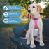 Best Pet Supplies Voyager Step-in Air Dog Harness, All Weather Mesh, No Pull Harness for Small Dogs - Pink, XL