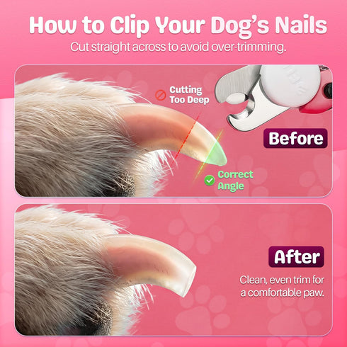 Trimmer Flexzion Pet Nail Clippers for Dogs & Cats - Stainless Steel Blade Cat Nail with Stored Nail File, Safety