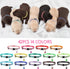 42 Pcs Puppy Collars for Litter, Adjustable ID Collars with Bell for Newborn Dogs and Cats, Reflective