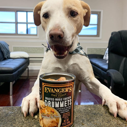 Evanger's Hand Packed Roasted Chicken Drummet Dinner for Dogs, 12 x 12 oz Cans