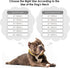Gold Dog Chain Collars 18K Metal Cuban Link with Secure Buckle for Small Medium Large Dogs