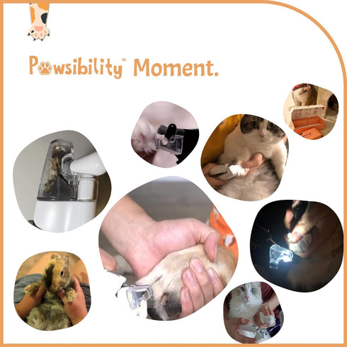 Recommended Trimming Pawsibility - Reinvented Pet Nail Clippers for Your Pal - USB Rechargeable LED Light for Bloodline