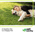 60 Vet Worthy Adult Multi Vitamins - Multivitamin for Dogs to Support Optimum Health and Overall Wellness - Dog