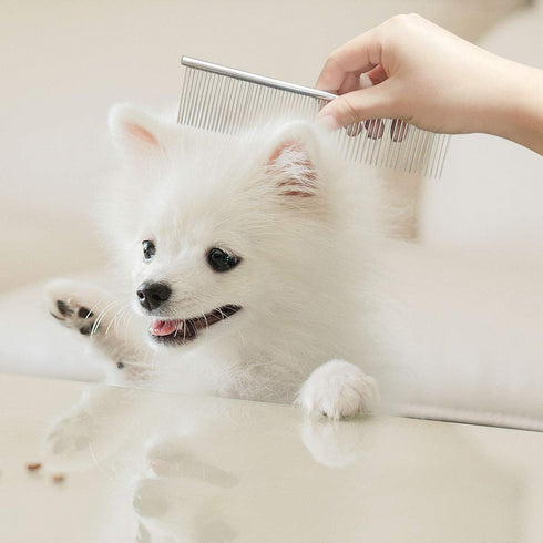 Professional Stainless Steel Grooming Comb for Dogs and Cats, Rounded Ends, Greyhound Comb, Long and Short Haired Dogs