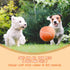 susu & wuwu Giant Tennis Ball for Dogs Yellow Big Tennis Ball for Dog Birthday Gift 9.5" Pet Toy Balls for Small/Medium/Large Dogs (orange)