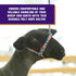 Weaver Livestock Poly Rope Sheep Halter, Modern Braid Sheep and Goat Rope Halter, Adjustable Lamb Lead