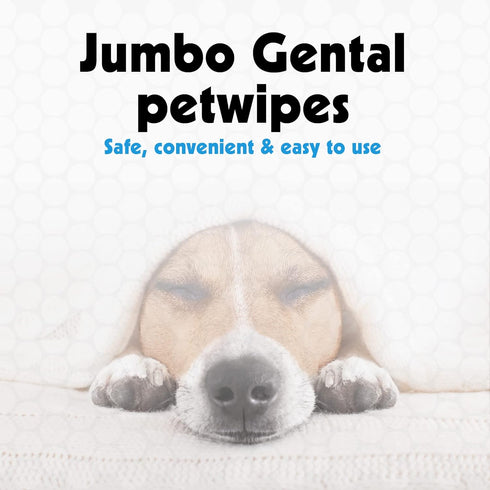 Petkin Jumbo Pet Eye Wipes, 80 Extra Moist Wipes, 2 Pack - Natural Formula for Dirt, Discharge, Tear Stains