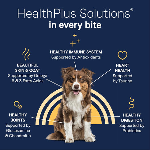 Canidae Pure Limited Ingredient Premium Adult Dry Dog Food - Real Chicken, Lentil & Potato Recipe, 4 lbs