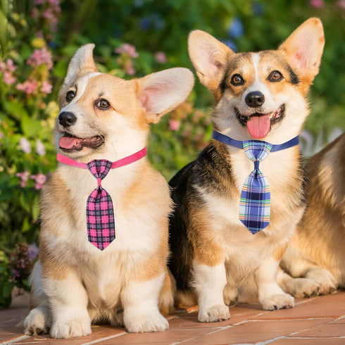 90 Pack Pet Bow Ties and Collar Bows, Adjustable Dog Cat Bowties and Bowknots, Cute Fashionable Design for Small and