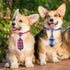 90 Pack Pet Bow Ties and Collar Bows, Adjustable Dog Cat Bowties and Bowknots, Cute Fashionable Design for Small and