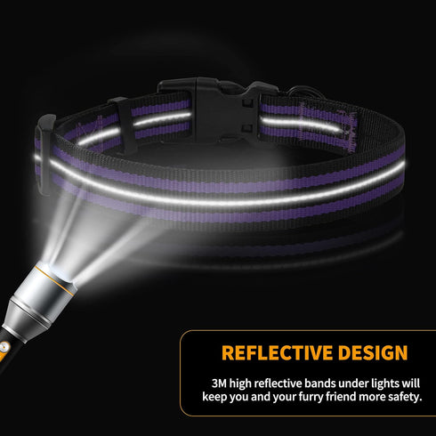 Mile High Life Reflective Dog Collar, Nylon Pet Collars with Buckle, Purple for Small Dogs (X-S)