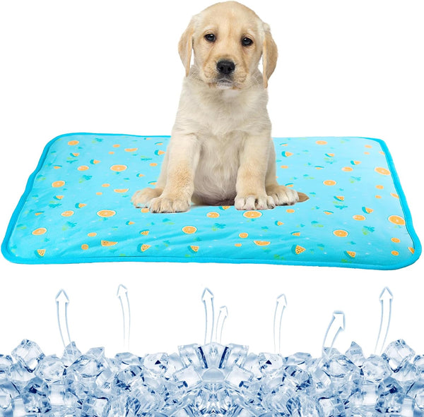 SEIS Dog Ice Pad, Ice Silk Cats Kennel Mat, Breathable Summer Cooling Pad for Pets (Blue Fruit, M)
