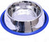 Set of 2 Etched Stainless Steel Dog Bowls, 32oz Each with Non-Skid No-Tip Silicone Ring, Easy to Clean