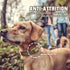Auroth Reflective Dog Collar for Medium Large Dogs, Soft Nylon Adjustable Collar with Heavy Duty Metal D Ring (Army