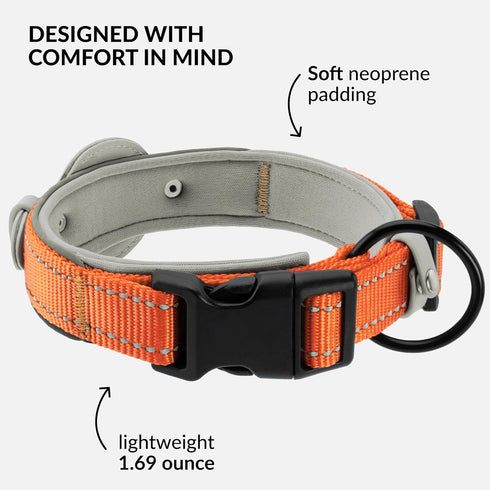 Airtag Dog Collar, CollarDirect Reflective Collar for Apple Air Tag, Large, Medium, Small Dogs, Orange