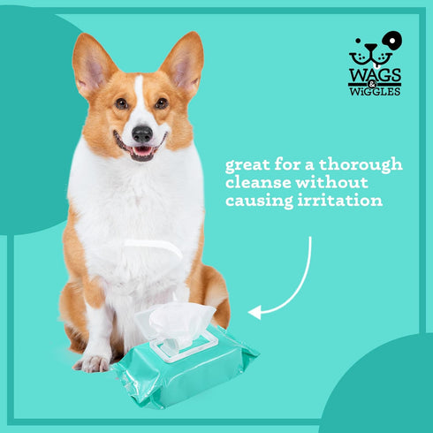 Wags & Wiggles 100 Count Hypoallergenic Dog Wipes for Sensitive Skin, Fragrance Free Waterless Cleansing Towelettes