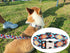 Dog Collar and Leash Set, Adjustable Quick Release Buckle Soft Durable Print Collars for Small Medium Large Male Dogs