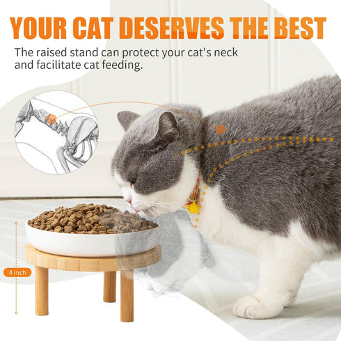 Shallow Elevated Cat Bowls,5.9 Inch Wide Raised Ceramic Cat Dishes with Bamboo Stand, Whisker Friendly Pet Water or Food Plates Feeding Station for Indoor Cats, Kitten(White,Set of 1)
