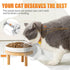 Shallow Elevated Cat Bowls,5.9 Inch Wide Raised Ceramic Cat Dishes with Bamboo Stand, Whisker Friendly Pet Water or Food Plates Feeding Station for Indoor Cats, Kitten(White,Set of 1)