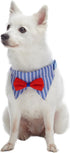 Blueberry Pet Iconic High Street Fashion Adjustable Dog Bandana Collar with Bow Tie, Medium, Neck 14.5"-20"