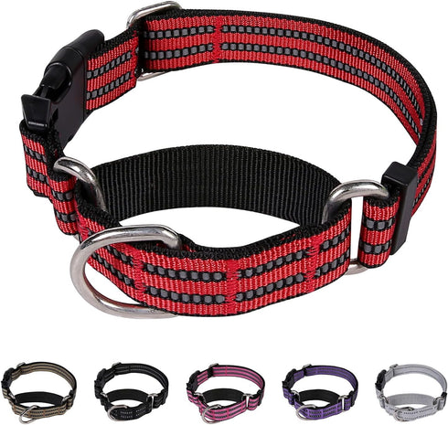 Martingale Dog Collars: Reflective Nylon with Quick Release Buckle, Adjustable No Slip Training Collar (X-Small, Red)