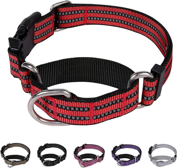 Martingale Dog Collars: Reflective Nylon with Quick Release Buckle, Adjustable No Slip Training Collar (X-Small, Red)
