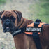 4 Pcs In Training Patch: Removable Embroidered Tactical Vest Patch for Dog Vest, Carrier, and Collar