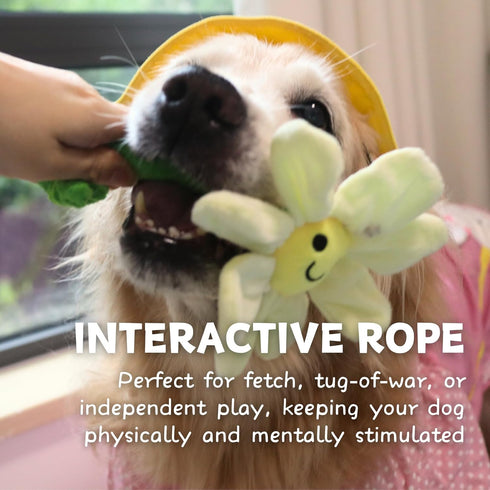 Interactive Dog Plush Toys, Crinkle Flower Rope Toy, Puppy Chew Toys for Teething, Cute Gift for Small and Medium Dogs