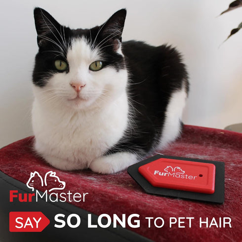JJ KENT FURMASTER Pet Hair Removal Tool for Furniture