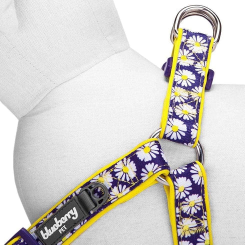 Blueberry Pet 2 Patterns Soft & Comfy Step-in Dog Harness, Chest Girth 20" - 26", Medium