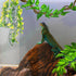 KATUMO 3 PCS Reptile Plants with Suction Cup for Lizards, Geckos, Bearded Dragons, Snake, Hermit Crab Habitat