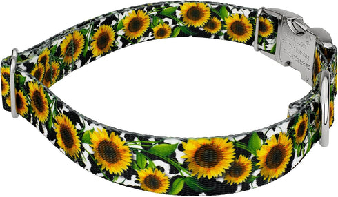 Country Country (1 Inch, Brook Petz - Premium Dairy Fields Dog Collar - and Western Collection Featuring Rustic Designs