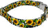 Country Country (1 Inch, Brook Petz - Premium Dairy Fields Dog Collar - and Western Collection Featuring Rustic Designs