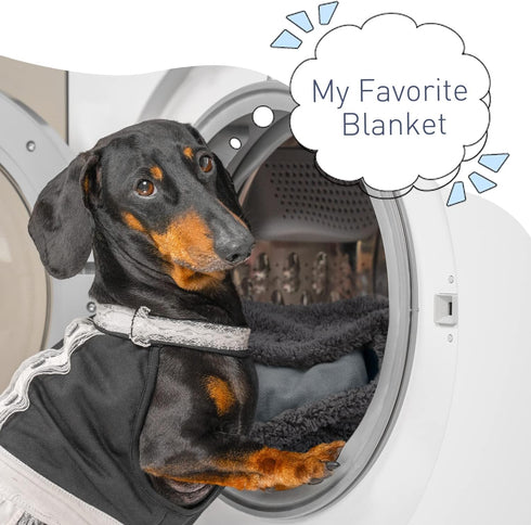 Kritter Planet Waterproof Blanket for Dogs, Pee Proof Sherpa Fleece Reversible Cover for Couch or Bed