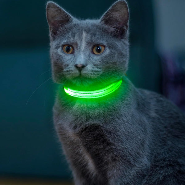 Light Up Dog Collar for Small Dogs - Vizpet XS Adjustable Nylon USB Rechargeable Safety Collar for Cats Dogs (Green)